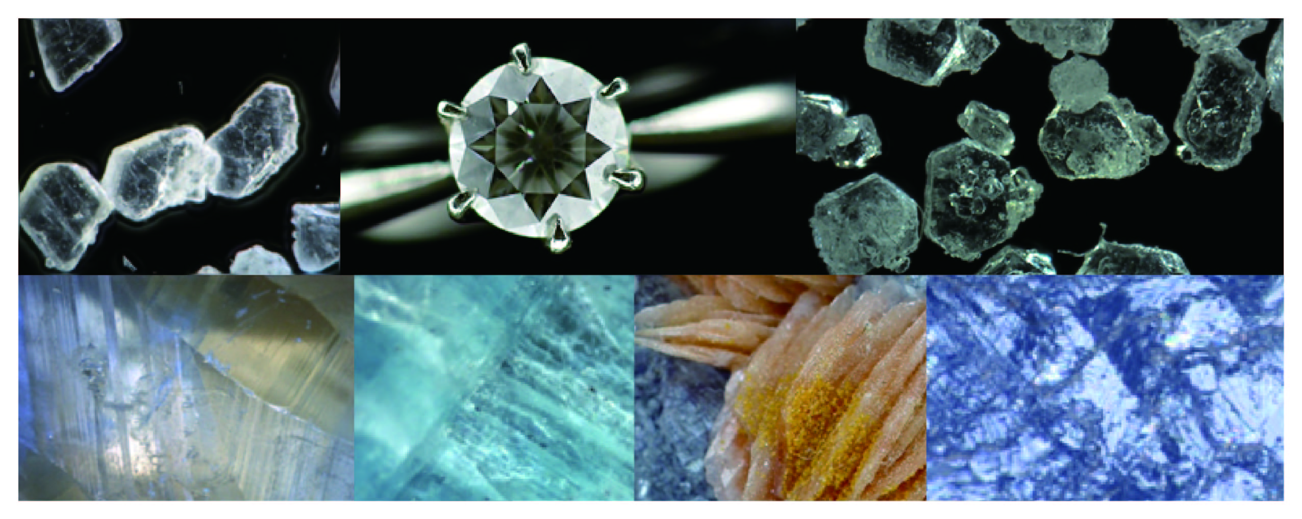 SKM-Z200C-FHD2數位光學顯微鏡